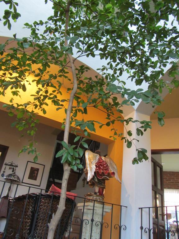 La Colorada Bed and Breakfast Zacualpan Εξωτερικό φωτογραφία