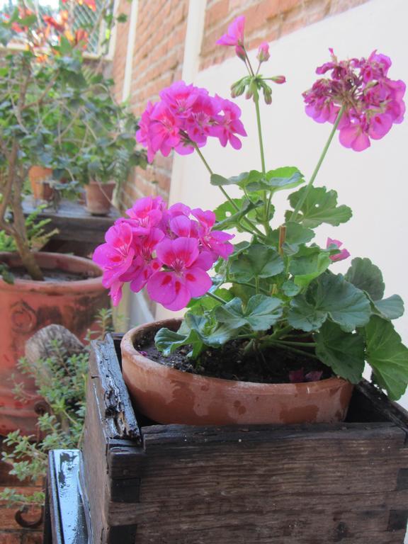 La Colorada Bed and Breakfast Zacualpan Εξωτερικό φωτογραφία